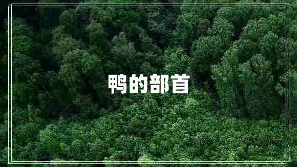 鴨的部首