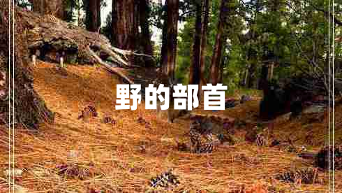 野的部首