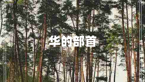 華的部首