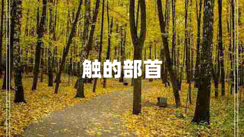 觸的部首