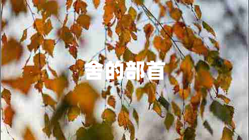 舍的部首