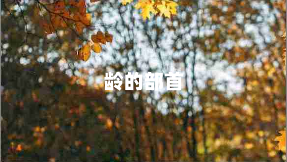 齡的部首