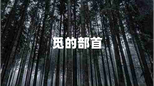 覓的部首