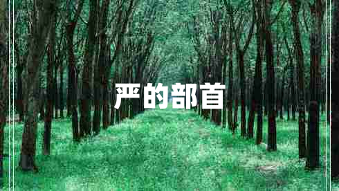 嚴的部首