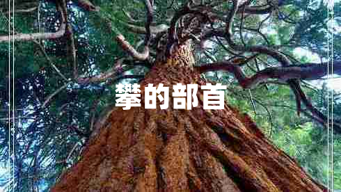 攀的部首