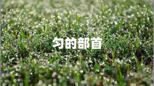 勻的部首