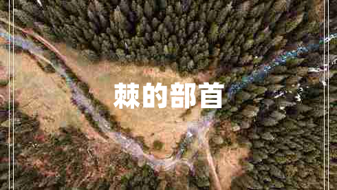 棘的部首