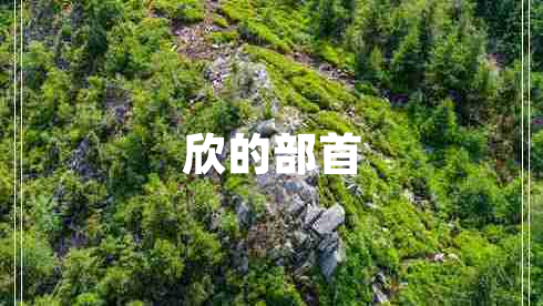 欣的部首