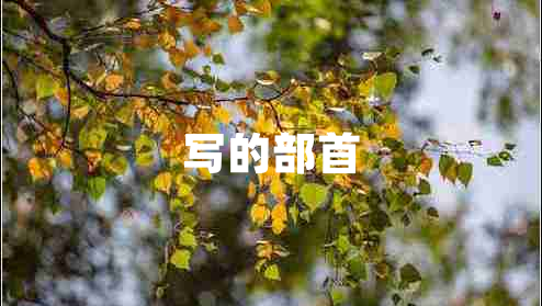 寫(xiě)的部首