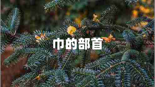 巾的部首