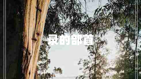 錄的部首