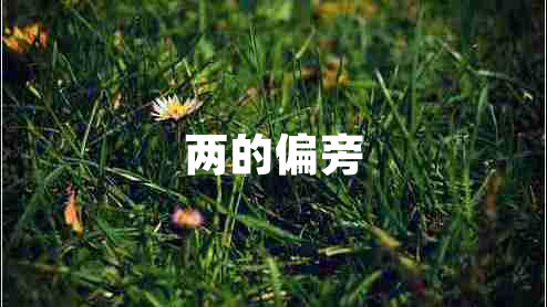 兩的偏旁