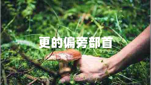 更的偏旁部首