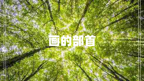 畫(huà)的部首