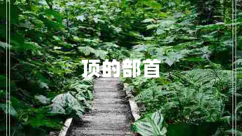 頂的部首
