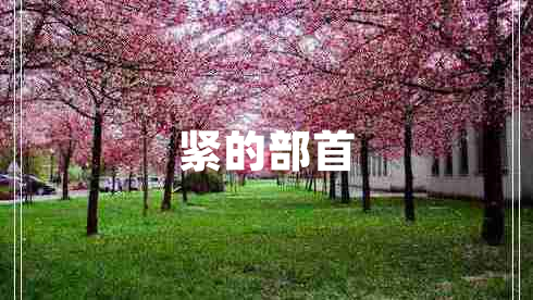 緊的部首
