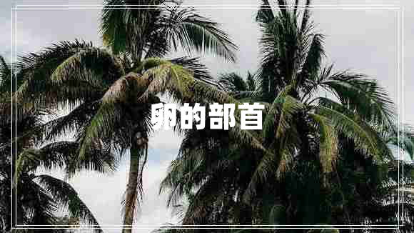 卵的部首