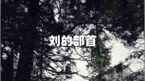 劉的部首