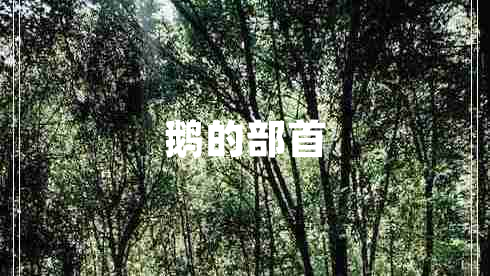 鵝的部首