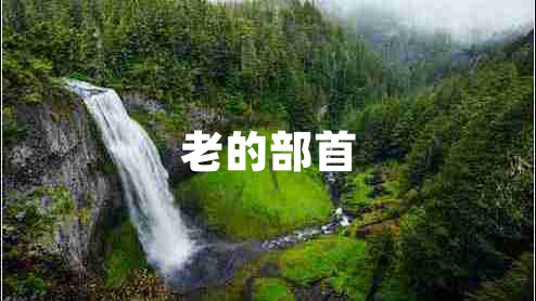 老的部首