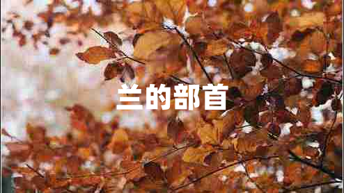 蘭的部首