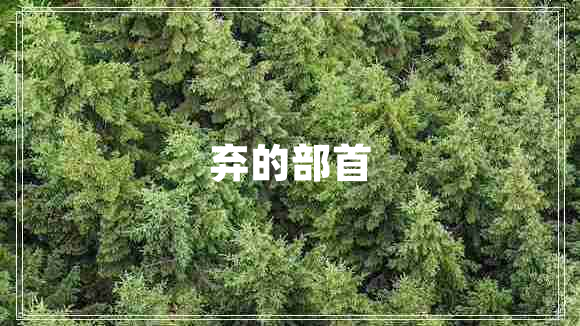 棄的部首