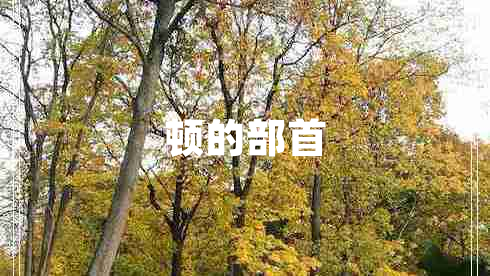 頓的部首