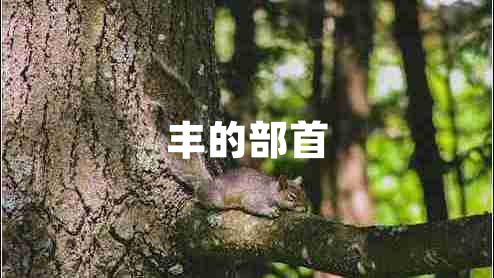 豐的部首