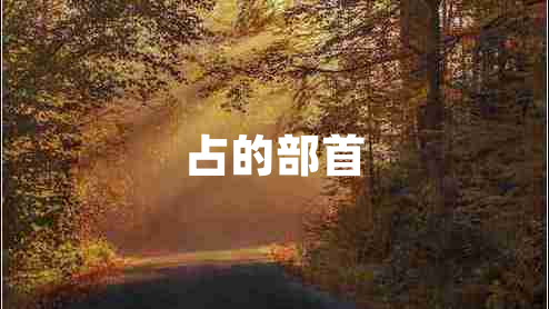 占的部首