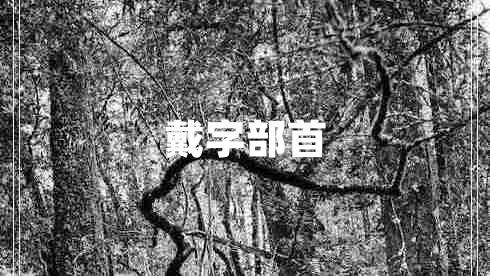 戴字部首