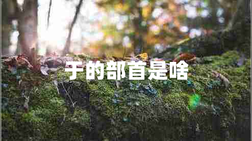 于的部首是啥