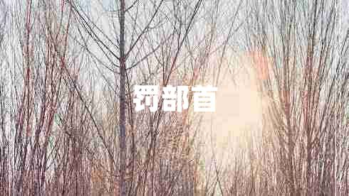 罰部首