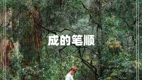 成的筆順