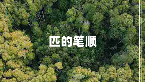 匹的筆順