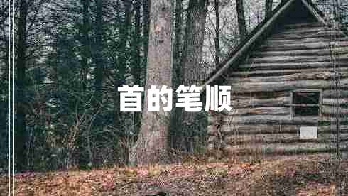 首的筆順
