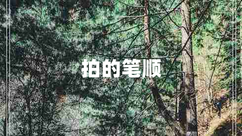 拍的筆順