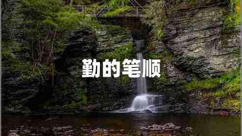 勤的筆順