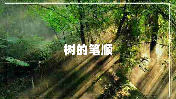 樹(shù)的筆順