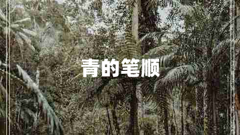 青的筆順