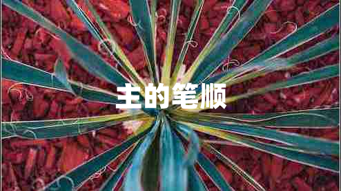 主的筆順