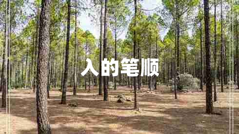 入的筆順