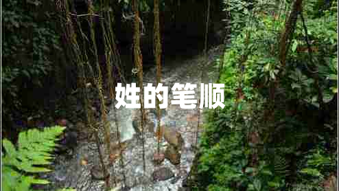 姓的筆順