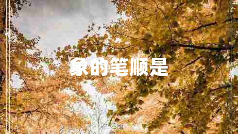 象的筆順是