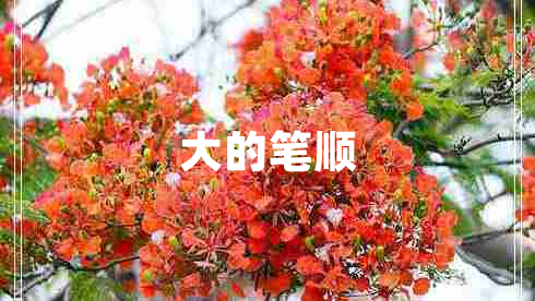 大的筆順