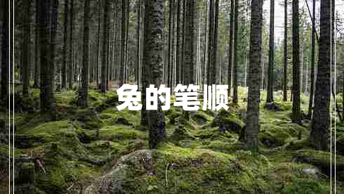 兔的筆順