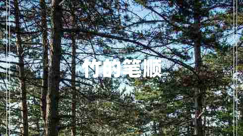 竹的筆順