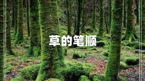 草的筆順