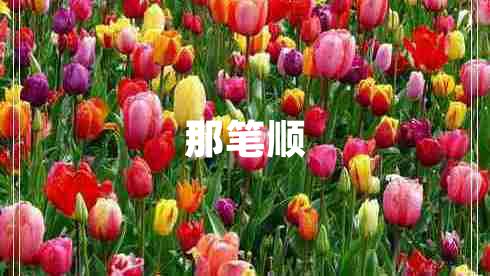 那筆順