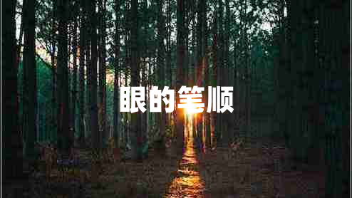 眼的筆順