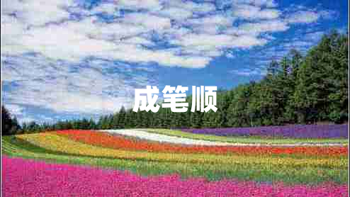 成筆順